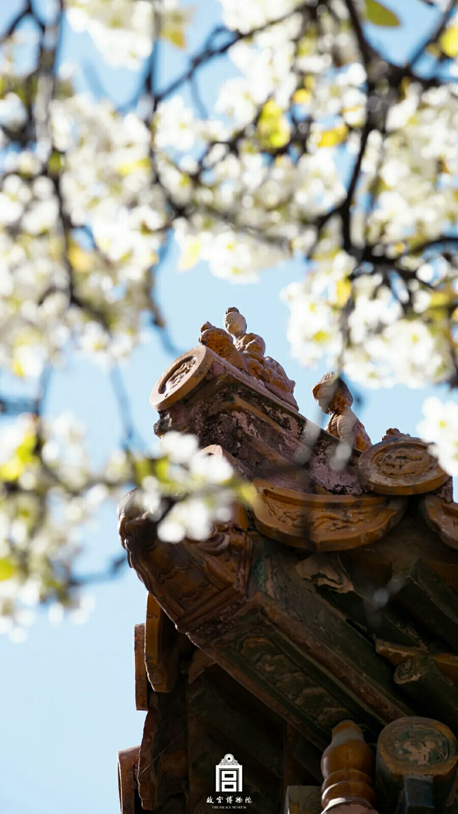 故宫景致