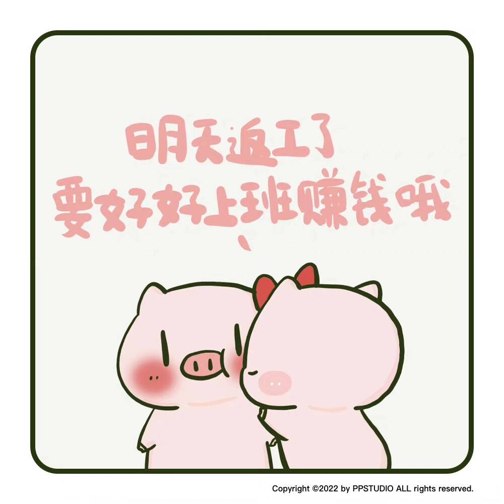 pp猪