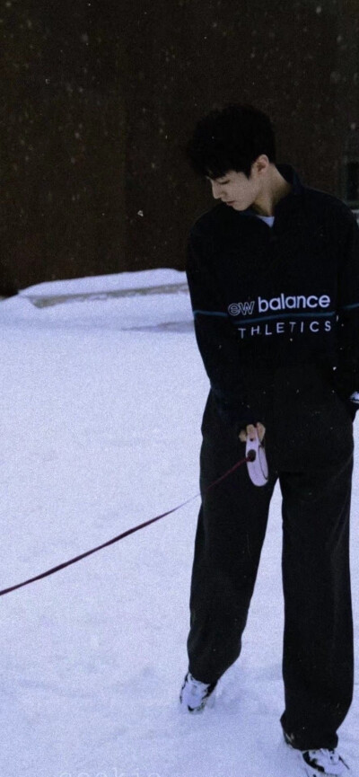 不止玫瑰有爱意