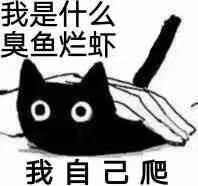 小黑猫