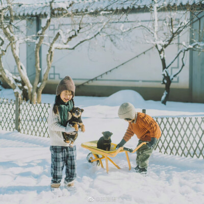 如果你也刚好看到下雪，那就当我们见过面吧
摄影：@王面酱 ​