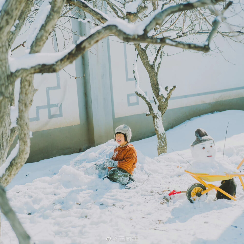 如果你也刚好看到下雪，那就当我们见过面吧
摄影：@王面酱 ​