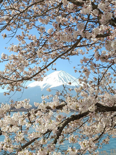 只有日本_富士山