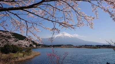 只有日本_富士山