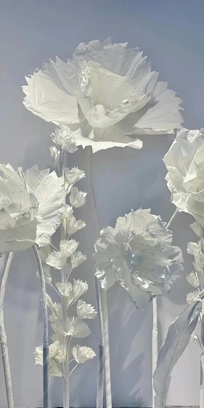 壁纸 朋友圈背景图