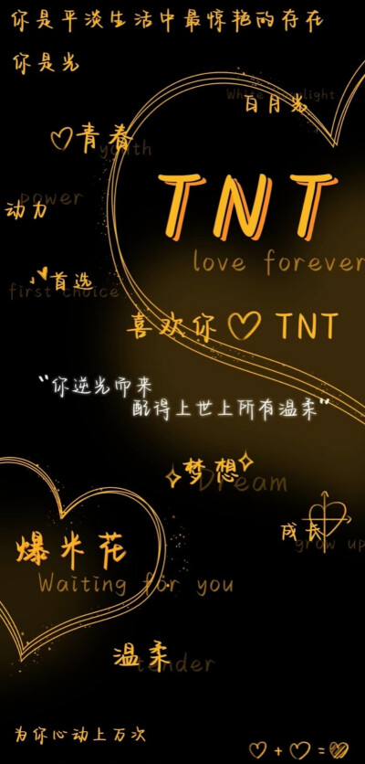 TNT就像北斗七星一样 少了一颗就不叫北斗七星 就像时代少年团一样 少了一个都不叫TNT