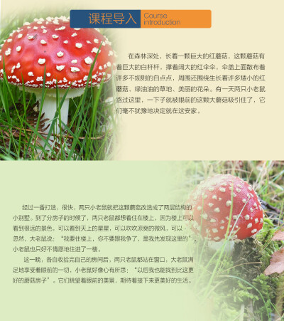 多元美术课件/老鼠的蘑菇房子