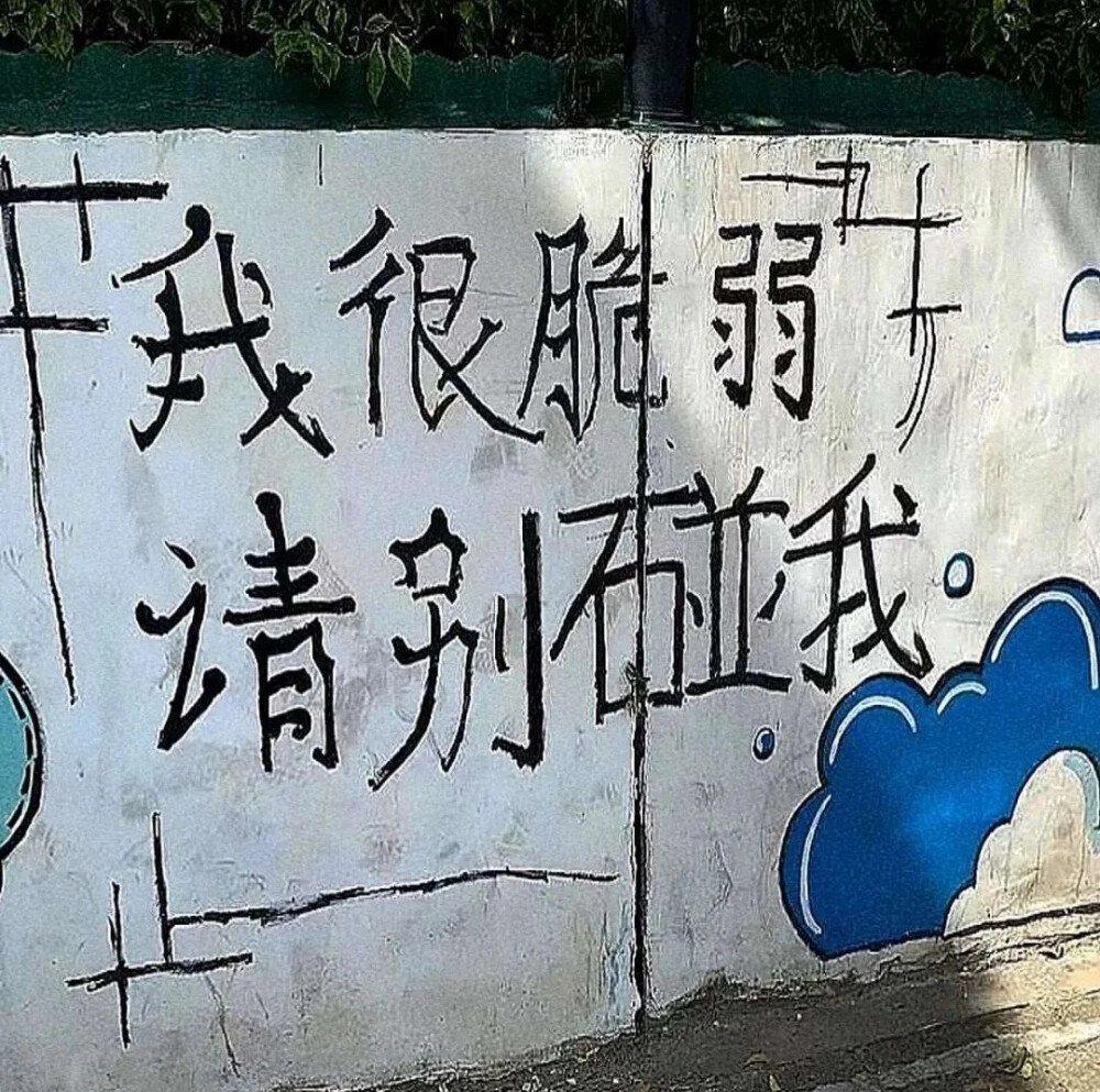 背景图|“我很脆弱 请别碰我”