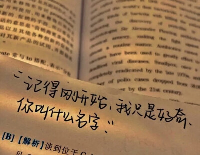 背景图 "记得刚开始,我只是好奇你叫什么名字 ."