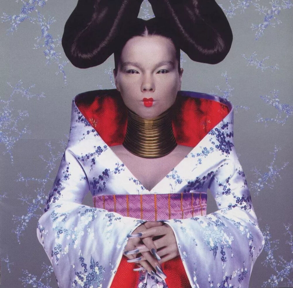 ▲ 比约克专辑《Homogenic》封面，1997年