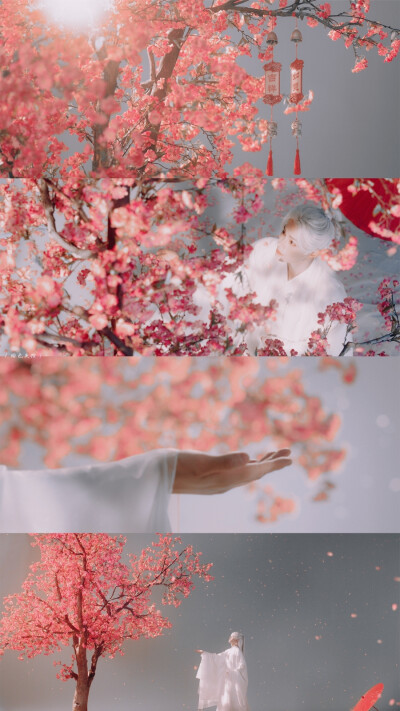 丁禹兮
cr：绯色失控