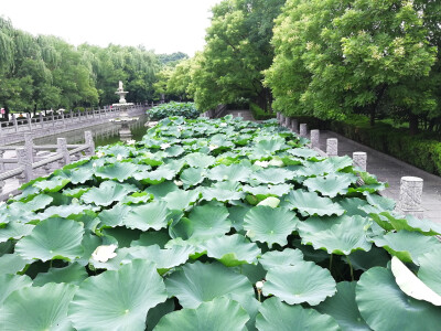 白马寺