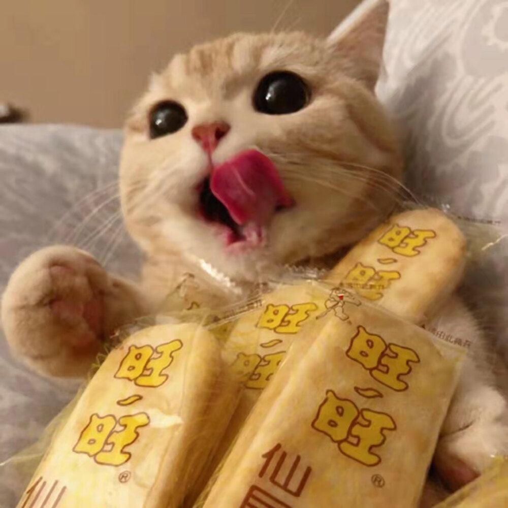 所有可以分享的瞬间我想到的都是你