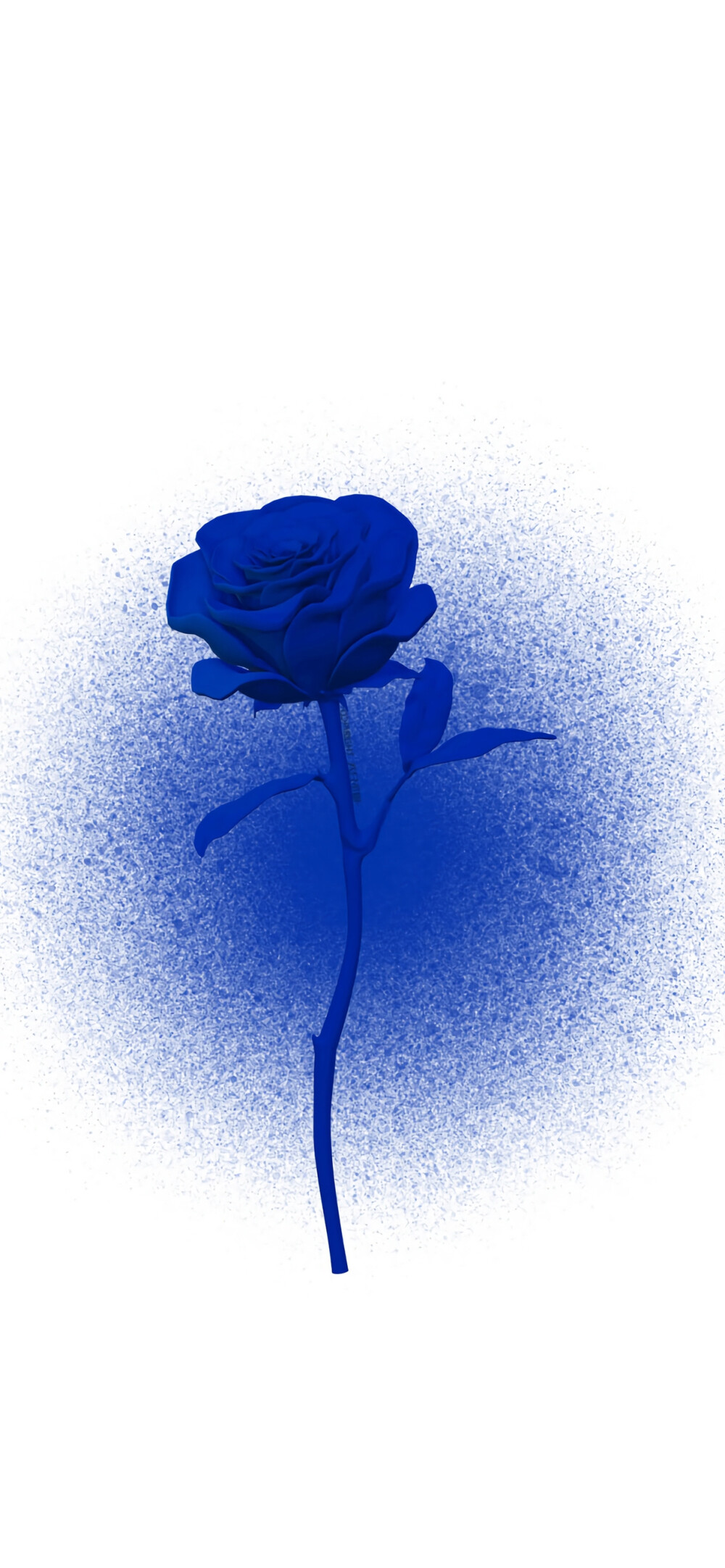 ins风克莱因蓝壁纸玫瑰图片
