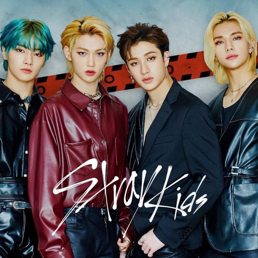 straykids - 堆糖,美图壁纸兴趣社区