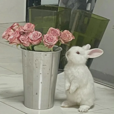 月亮指路牌_侵权删