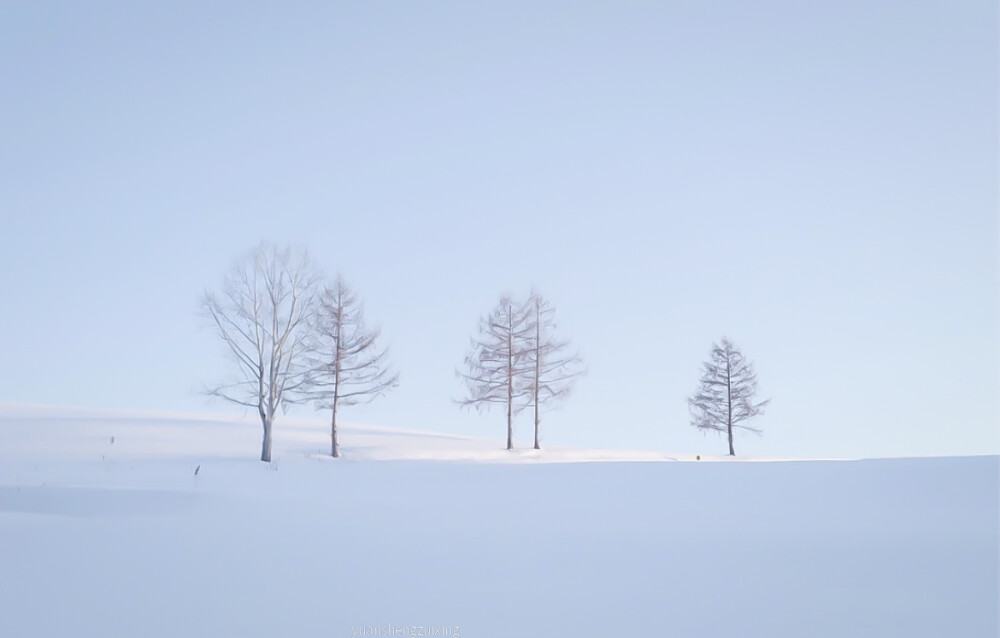 
「 雪 地 里 写 诗 」
