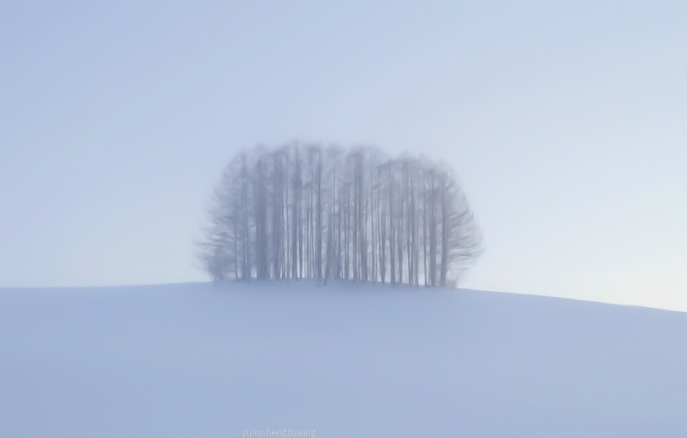 
「 雪 地 里 写 诗 」
