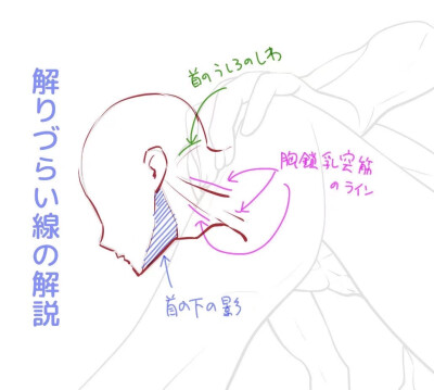 人体动态