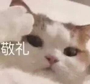 表情包