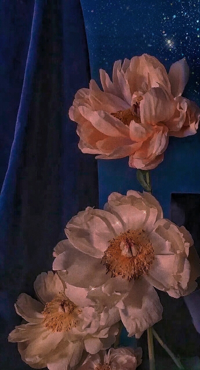 锁屏壁纸