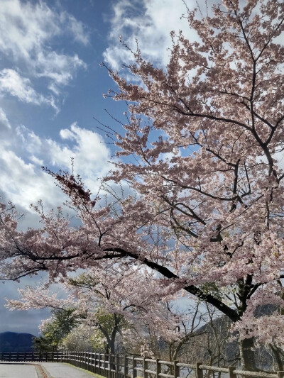 只有日本_富士山