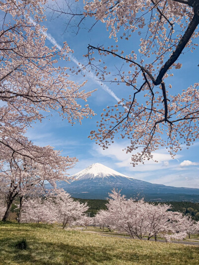 只有日本_富士山