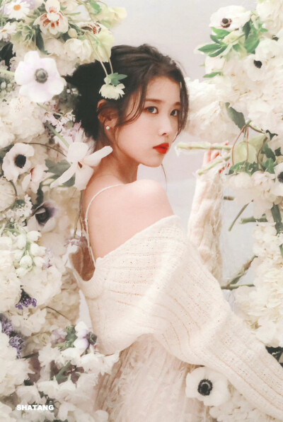 IU | 二十九岁的冬天
cr:砂糖收藏家