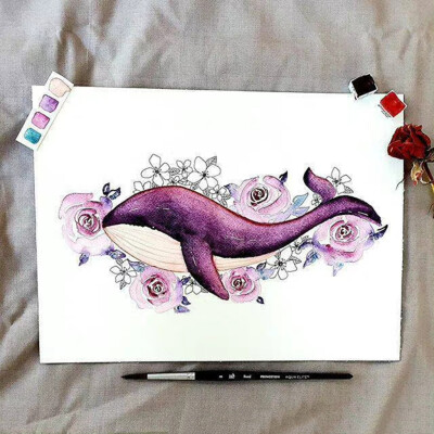 海洋动物插画， ins：fleurs_de_lize ​​​