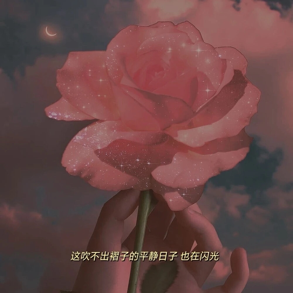 ：Flower壁纸