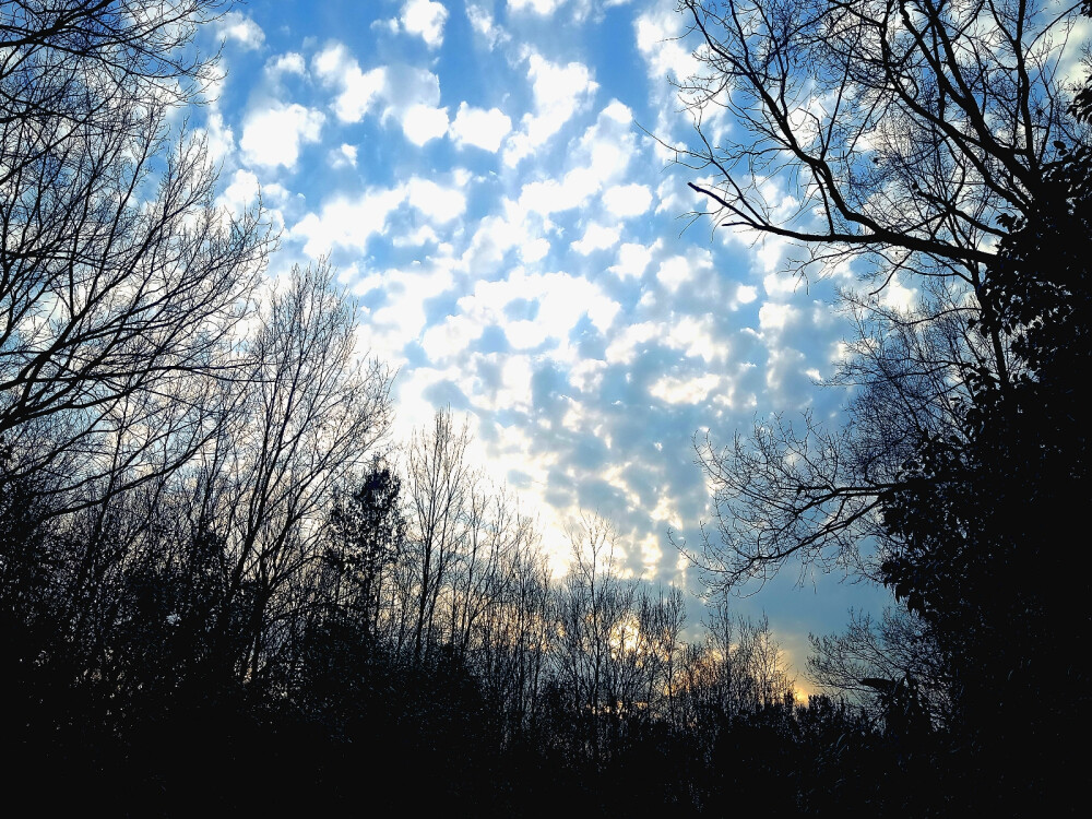 风景照（自己拍的）