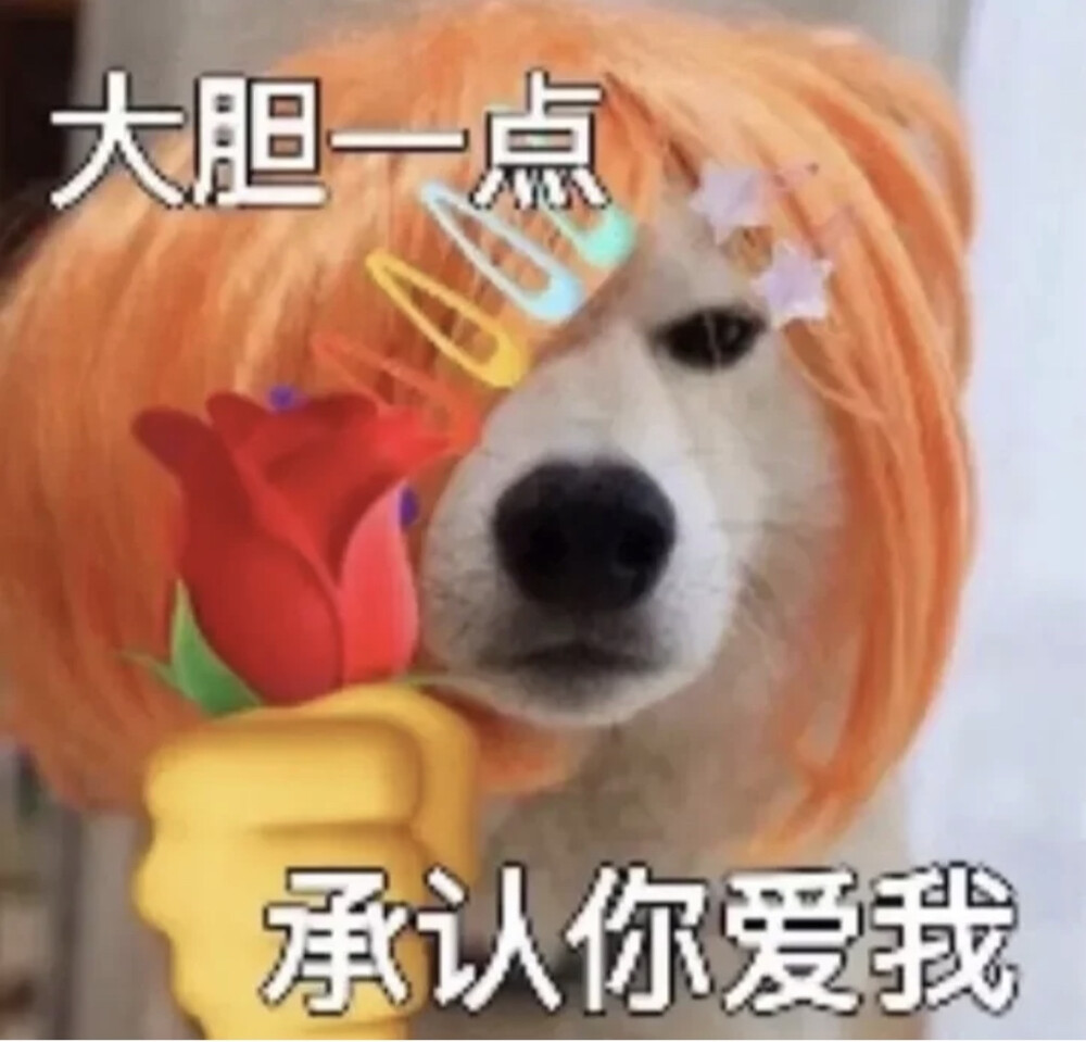 沙雕表情包