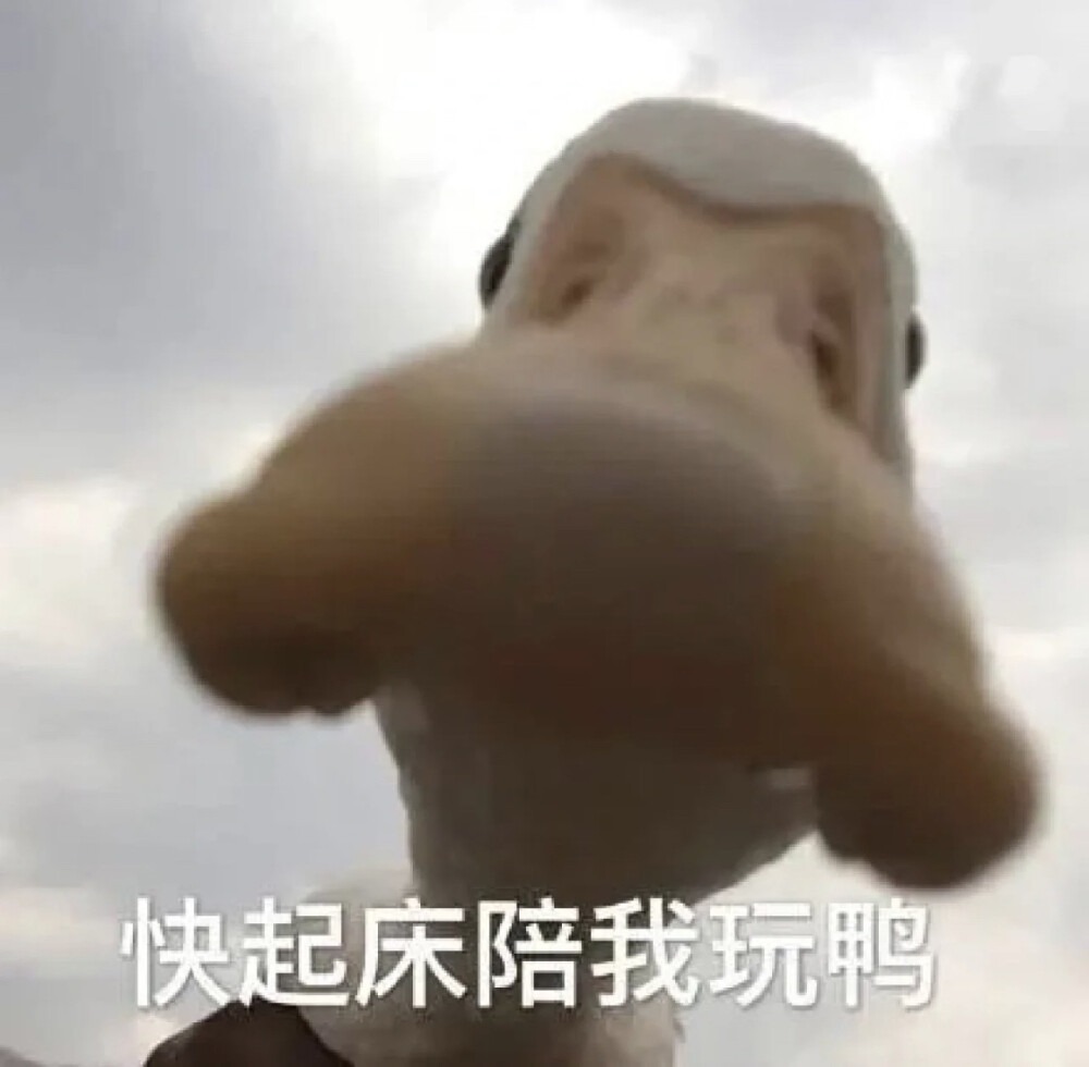沙雕表情包