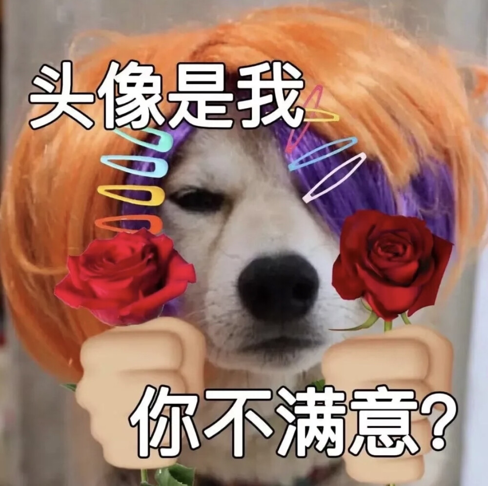 沙雕表情包