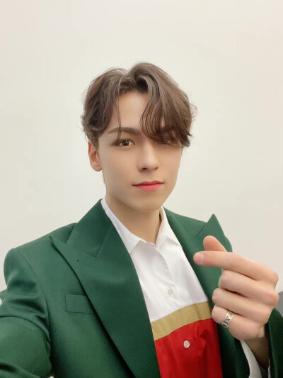 崔瀚率 vernon seventeen