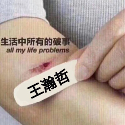 王瀚哲