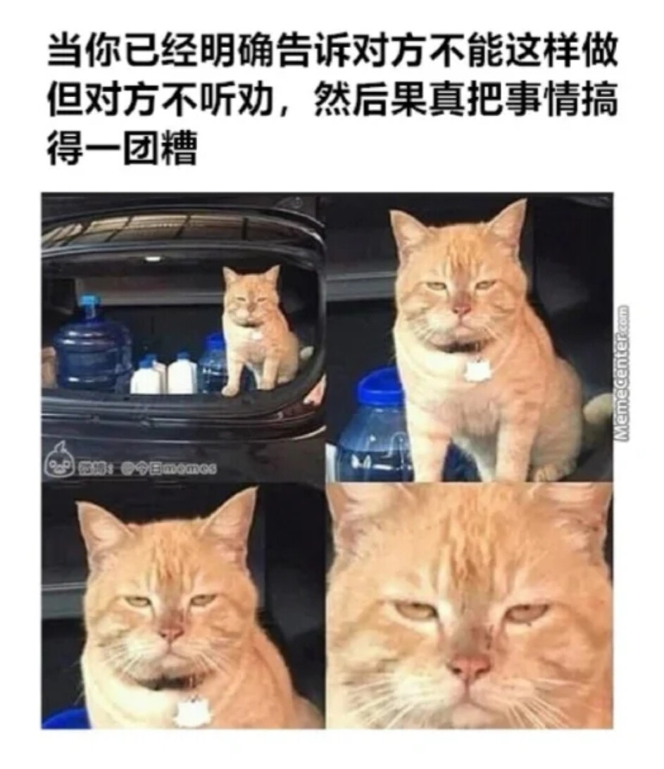 表情包