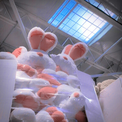 “梦境童话”
©TodyDotCom 