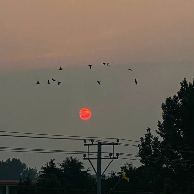 月亮指路牌_侵权删