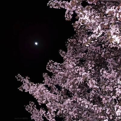 月亮指路牌_侵权删