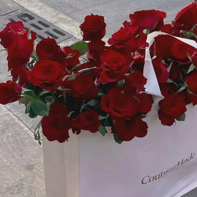 月亮指路牌_侵权删