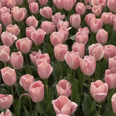 月亮指路牌_侵权删