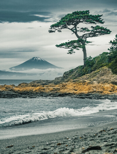 海与富士山