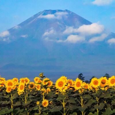 风景背景