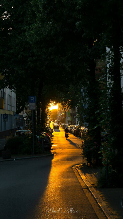 ᴵ ᵖʳᵉᶠᵉʳ ᵗᵉⁿᵈᵉʳⁿᵉˢˢ ᵃᵗ ˢᵘⁿˢᵉᵗ.
偏爱日落时刻的温柔。