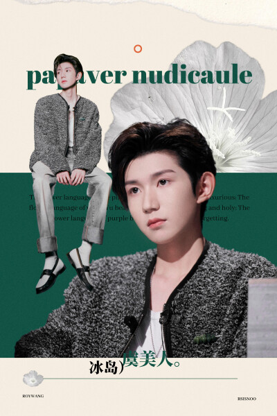 给王源的春日明信片 【种夏】 cr.Rsisnoo
