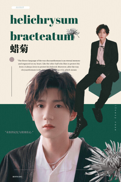 给王源的春日明信片 【种夏】 cr.Rsisnoo
