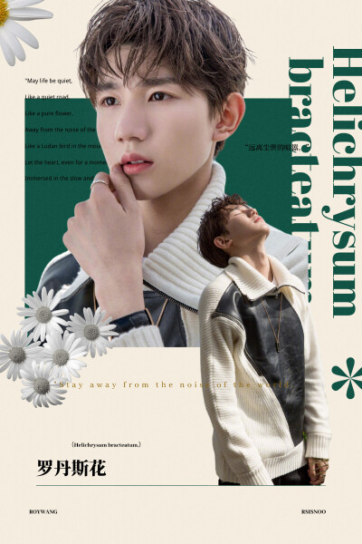 给王源的春日明信片 【种夏】 cr.Rsisnoo
