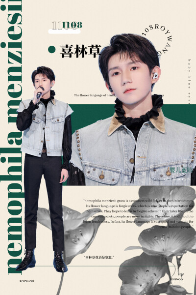 给王源的春日明信片 【种夏】 cr.Rsisnoo
