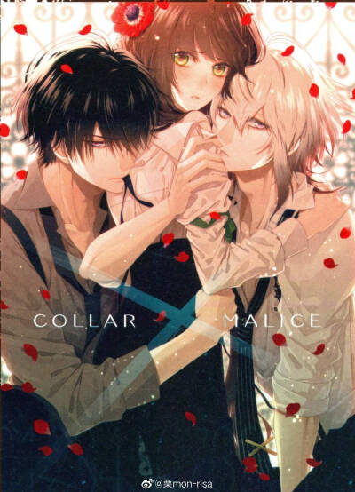 collar×mailce
（一点我喜欢的夹心饼）